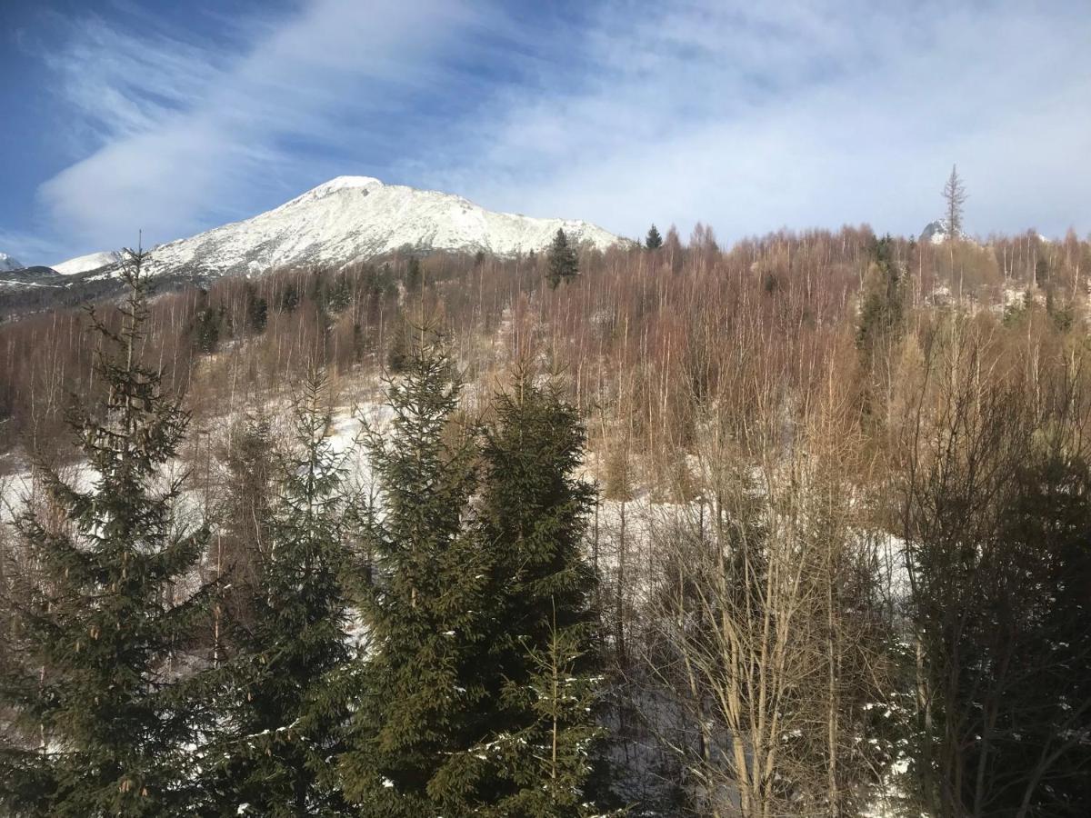 Apartmány Vila Vlasta Vysoké Tatry Esterno foto